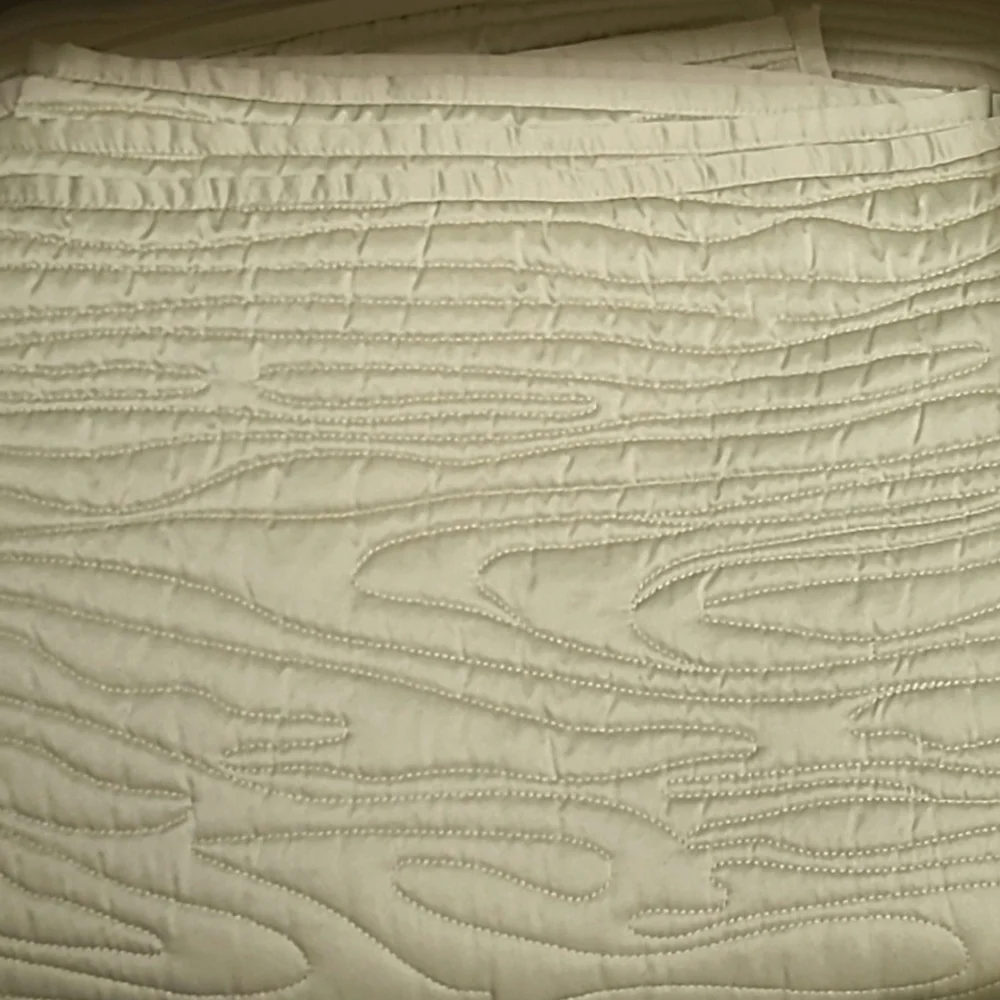 Cindy Crawford Style Elise Light Sage Green Satin Woodgrain Coverlet / Q…